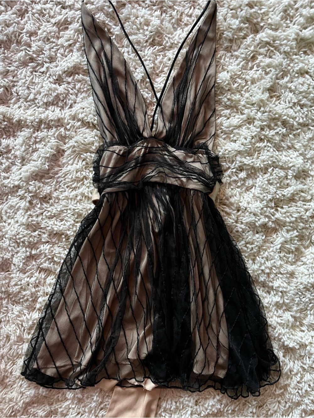 Lucy in the Sky Black Sheer Overlay Dress with Nude Lining